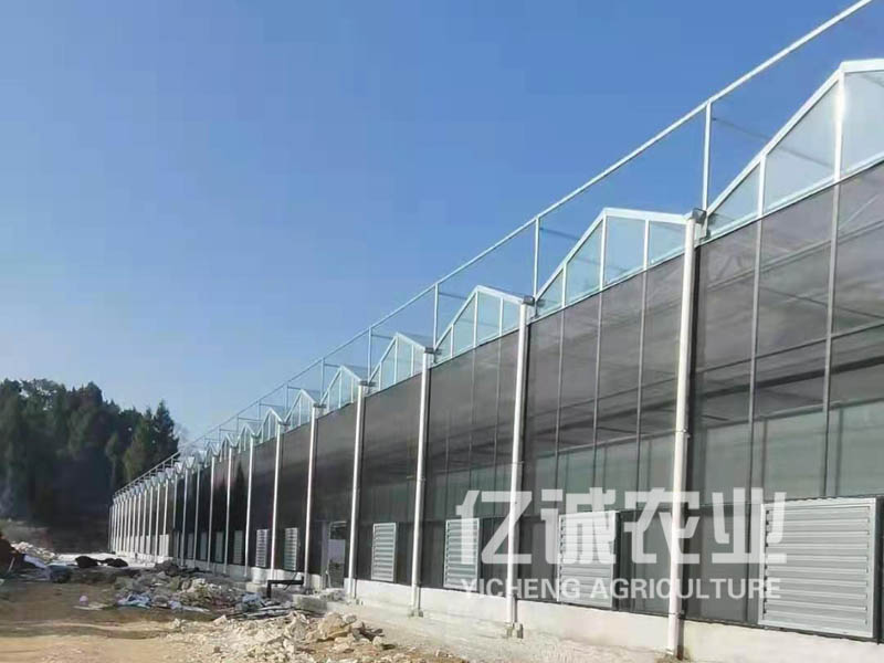 建溫室大棚需要多少錢(qián)？連棟溫室工程造價(jià)