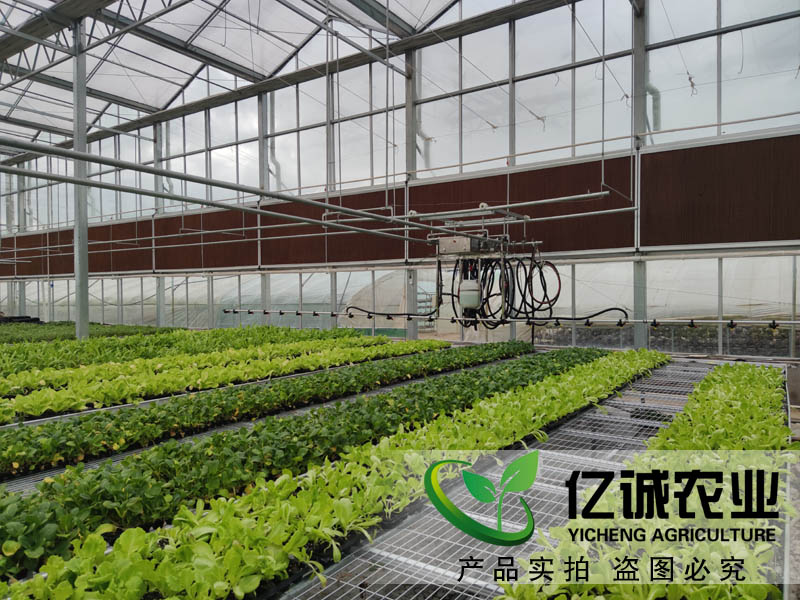 現(xiàn)代化智能溫室大棚如何建造？智能化連棟溫室大棚多少錢一個平方？