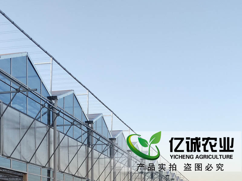 玻璃溫室每平方米報價多少？現(xiàn)代化智能溫室大棚造價？