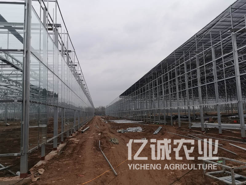 智能溫室大棚建設在施工時遭遇暴雨天怎么辦？