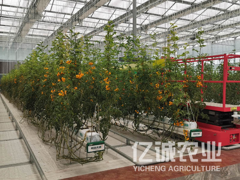 青州溫室大棚建設哪家好？