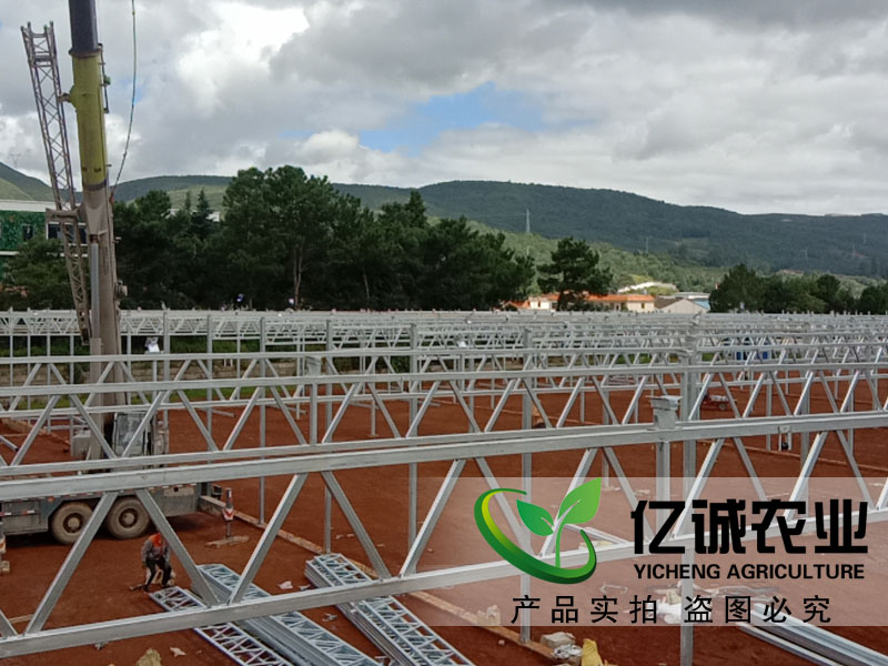 青州玻璃溫室大棚哪家建的比較專業(yè)？性價(jià)比高？