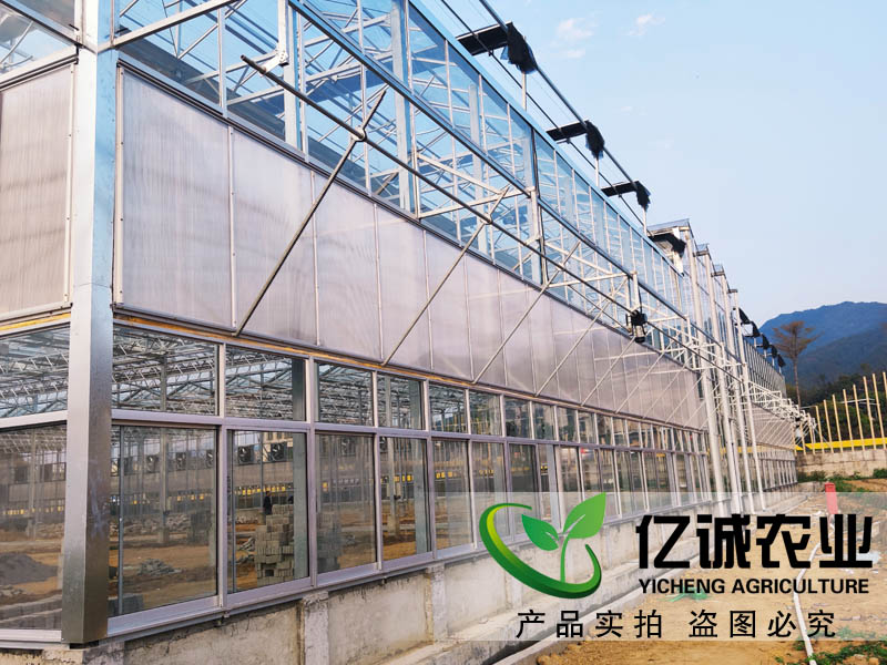玻璃溫室大棚造價(jià)多少錢一畝？玻璃連棟溫室大棚價(jià)格高不高？