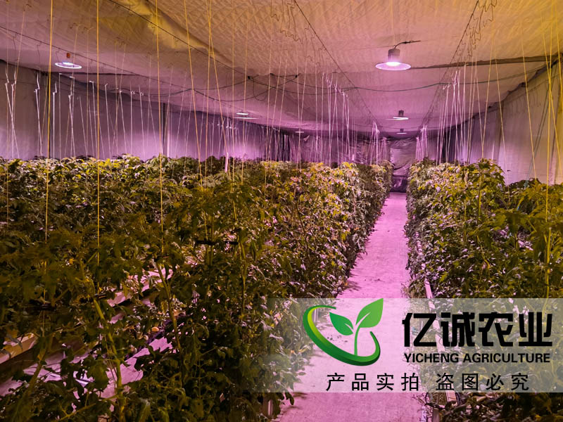 蔬菜大棚造價(jià)是如何計(jì)算的？