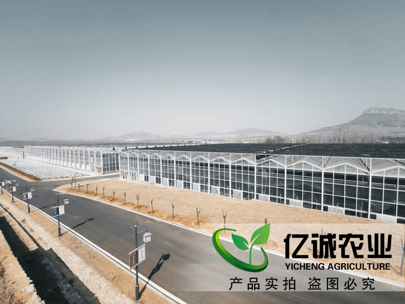 連棟溫室大棚水槽內(nèi)為什么會積水？億誠教您這樣做