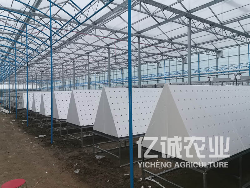 薯類(lèi)作物的溫室大棚怎么建設(shè)？造價(jià)高不高？
